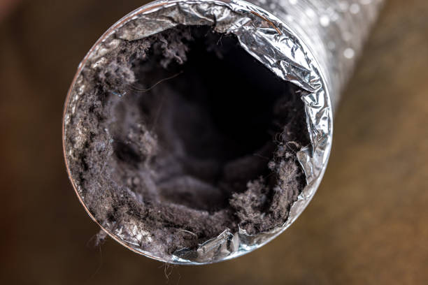 Best Duct Cleaning for Homes  in Jessup, MD